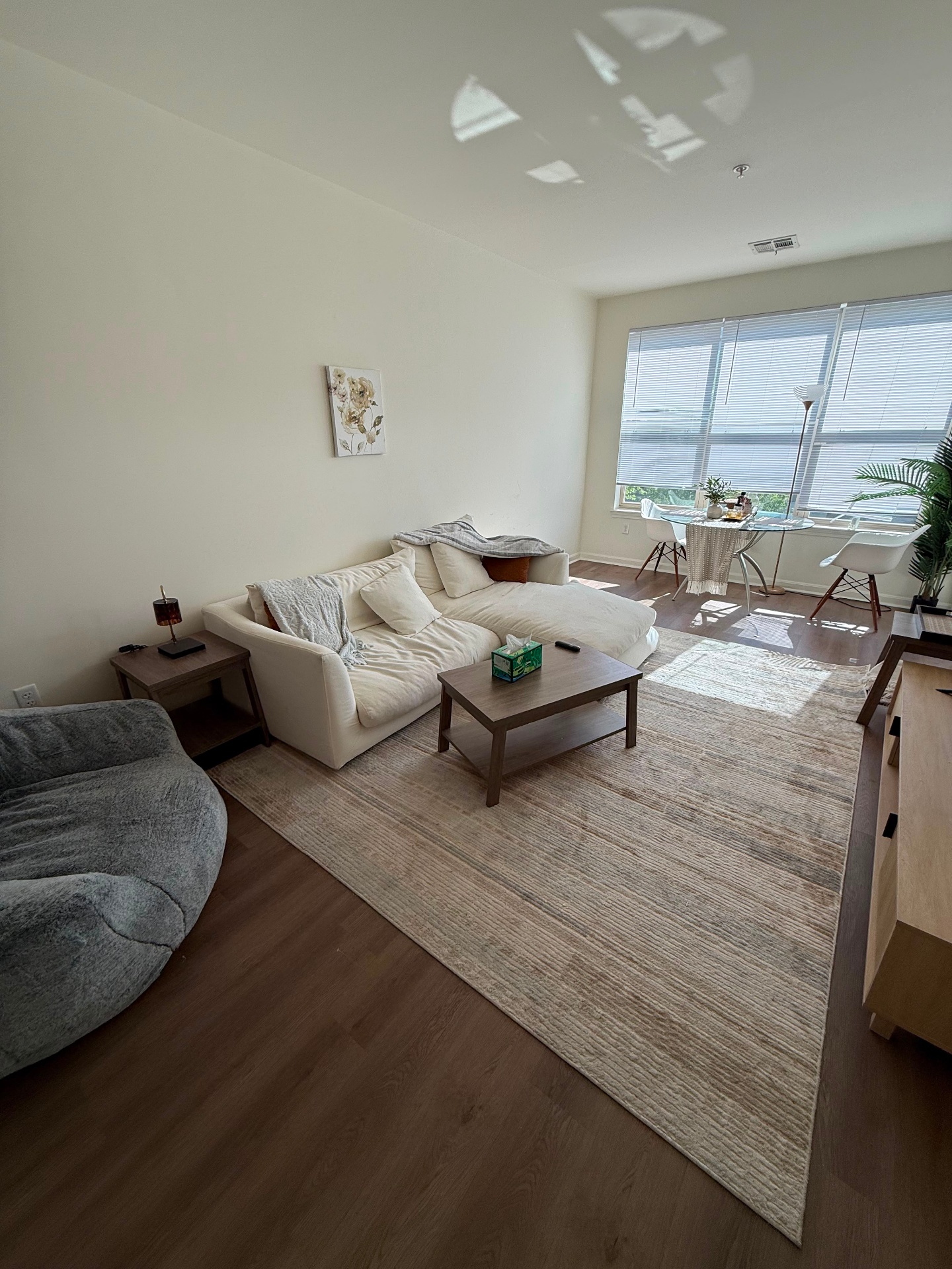 Living Room — before